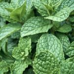 5开奖结果最新公布,速来查看幸运号码 4v3c45