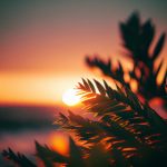 5月15日最新开奖结果查询及中奖号码公布 8bp6bue