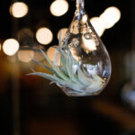 m3u8直播在线观看高清流畅视频播放平台 yftse7ukz